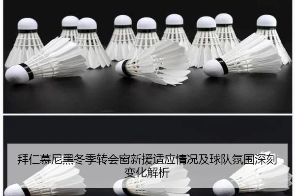 拜仁慕尼黑冬季转会窗新援适应情况及球队氛围深刻变化解析